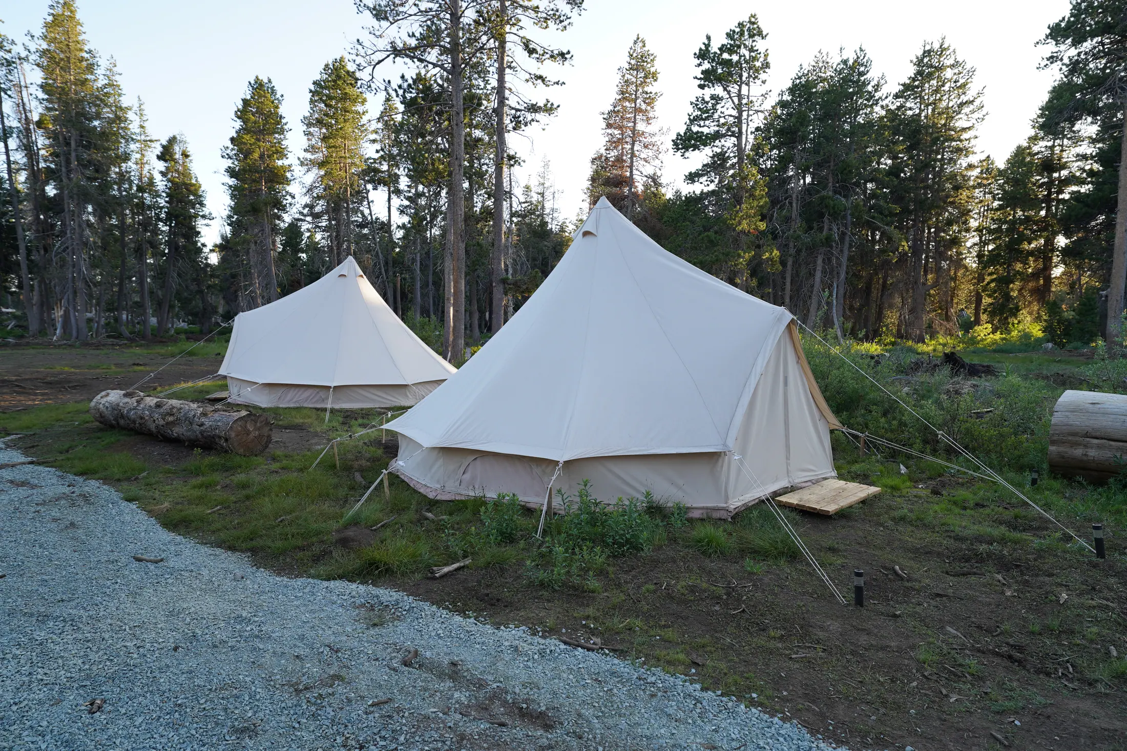 The Camp — Thirty more, under canvas
