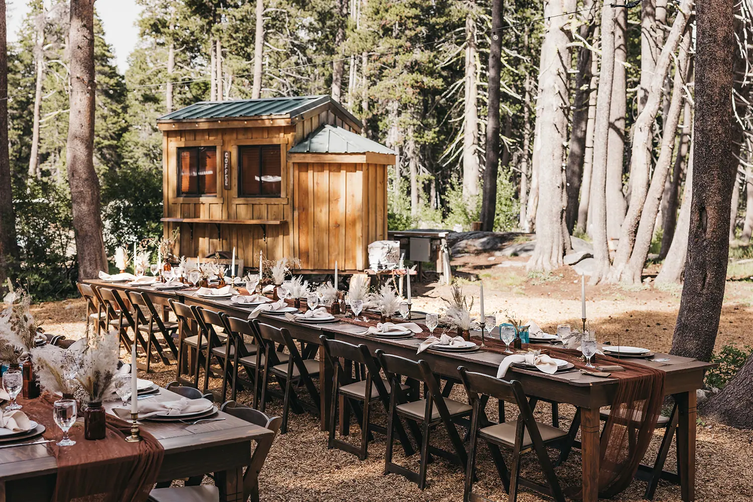 The Reception Ground — Two hundred under the pines