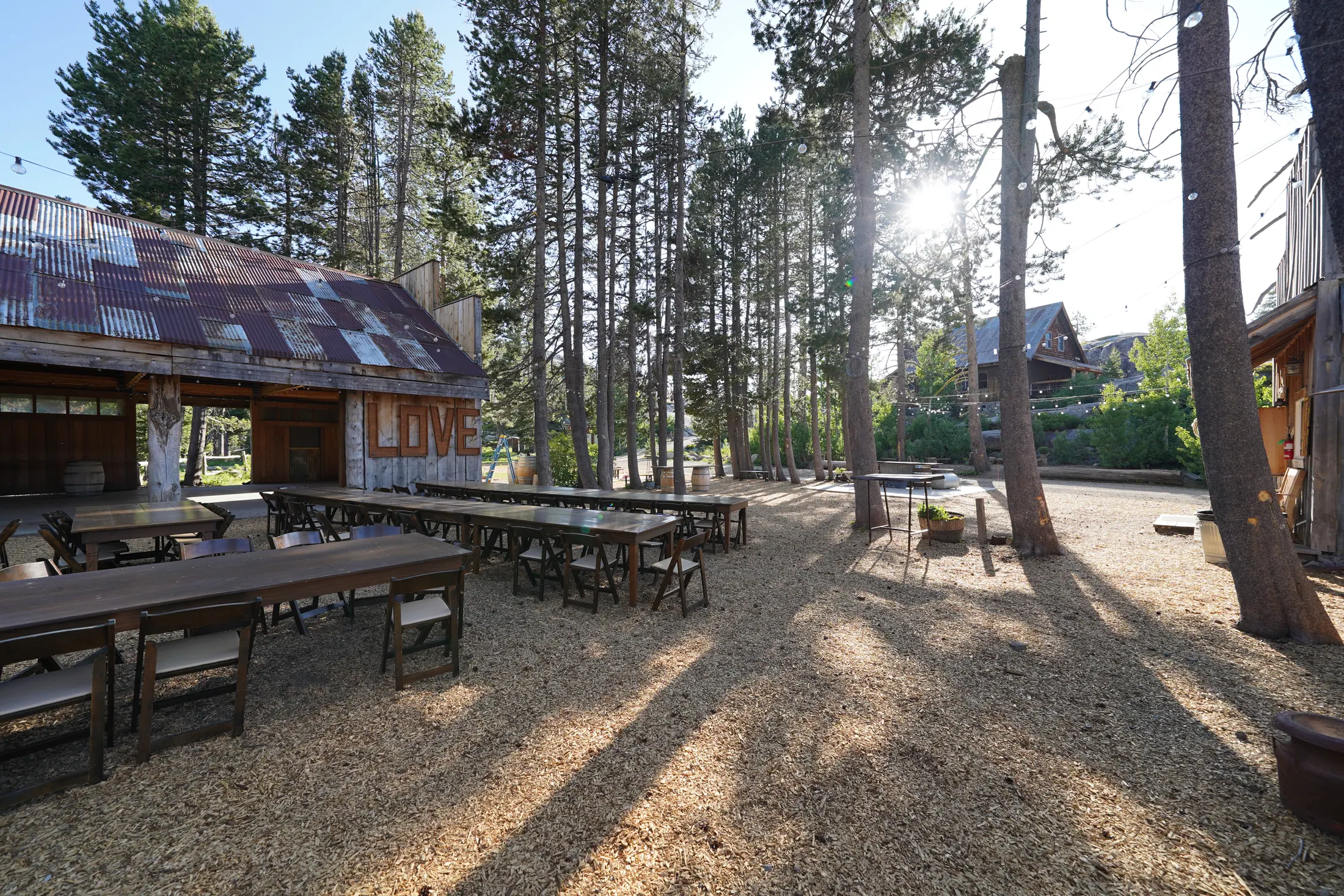 The Reception Ground — 5 of 38